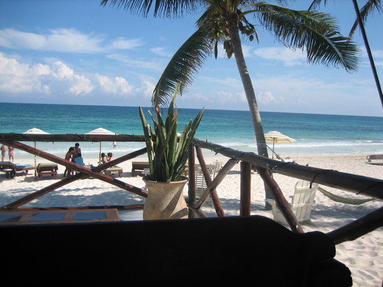 Casa Violeta Restaurant